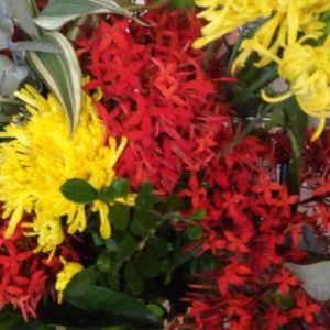 Meet your Posher, Aroldo